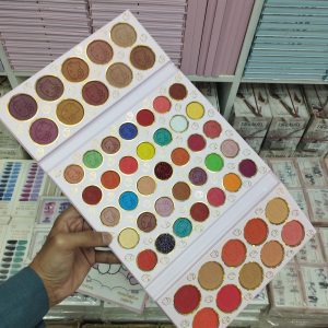 Bronnze Girl Makeup Platter Kit 55 Color